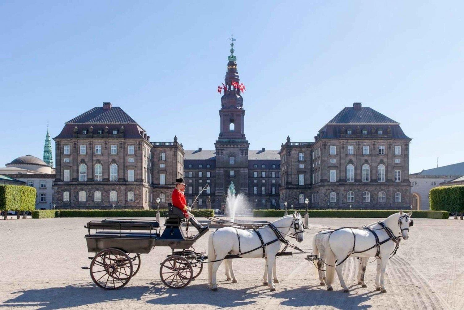 Stunning Premium With Private Rooftop Köpenhamn